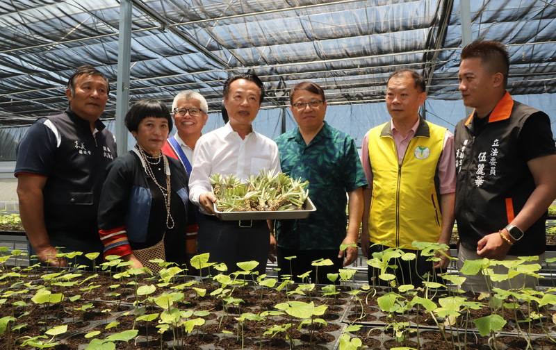 阿里山山葵生產合作社在樂野部落建置的2座山葵育苗智能溫室14日正式啟用，原住民族委員會副主委杜張梅莊（Adralriw Abaliusu）（右3）、嘉義縣長翁章梁（右4）等人參觀山葵生產。