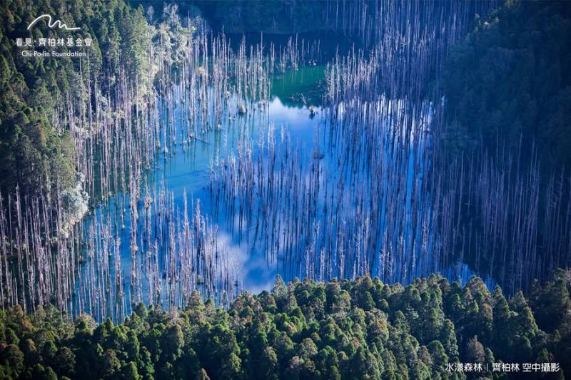 虛心學習 愛護無痕—水漾森林