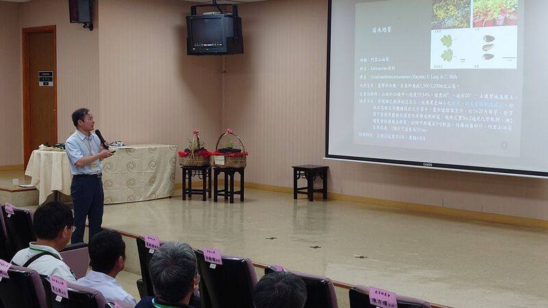 嘉義大學森林暨自然資源學系副教授張坤城（立者）15日說，阿里山油菊原生於海拔1500至3200公尺的山區，但經過馴化發現，在平地也能長得很好，但必須全日照栽培才能開花，可以發展成地方產業。