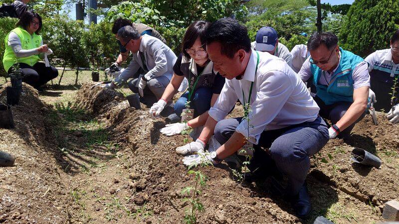 嘉義縣長翁章梁（前右）15日在永續循環中心園區種下阿里山油菊，他表示，高山植物移植到平地要突破很多困難，如今縣府成功復育阿里山油菊，除可應用在食農教育，也讓大家深入認識油菊，期待日後開出黃澄澄的景象。