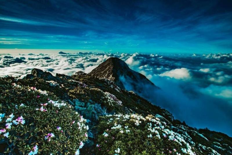 21世紀初學者提出「滅絕電梯」假說，指出氣候變遷使山區生物多樣性面臨風險，成功大學團隊研究發現，目前這項假說預期結果還未發生。但台灣快速暖化對山區生態系統造成壓力。（內政部國家公園署玉山國家公園管理處提供）