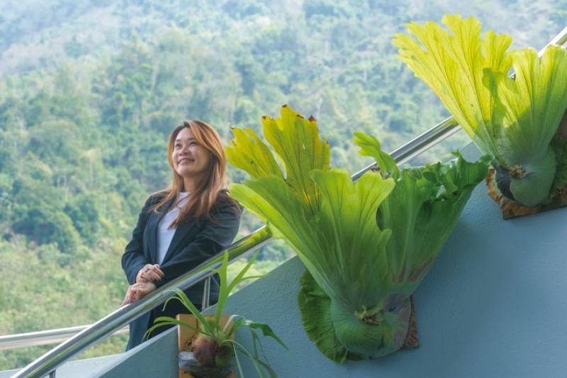 Lucille Sun has helped to turn Checheng into a town that attracts visitors from near and far.​​