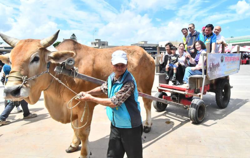2025國際海牛文化節18日登場，彰化縣政府表示，期盼透過生態體驗讓更多人認識潮間帶牛車採蚵、芳苑漁村文化。（彰化縣政府提供）