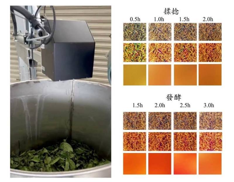 農業部茶及飲料作物改良場成功建置國內首條紅茶AI（人工智慧）生產線，精準控制各項製程，減少人工操作造成的誤差，降低勞力成本並穩定產品品質，提升紅茶市場競爭力。（茶改場提供）