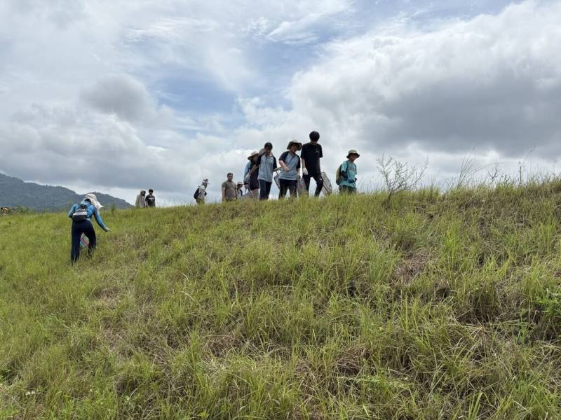 0403強震造成太魯閣國家公園多處植被因土石崩塌而剝落，為避免外來種植物入侵，太管處志工與慈濟大學USR團隊、秀林國中合作，到壽豐溪、萬里溪南北兩岸採集駁骨丹及知本飄拂草等原生植物種子，將製作成種子球噴灑在布洛灣裸露邊坡。（太管處提供）