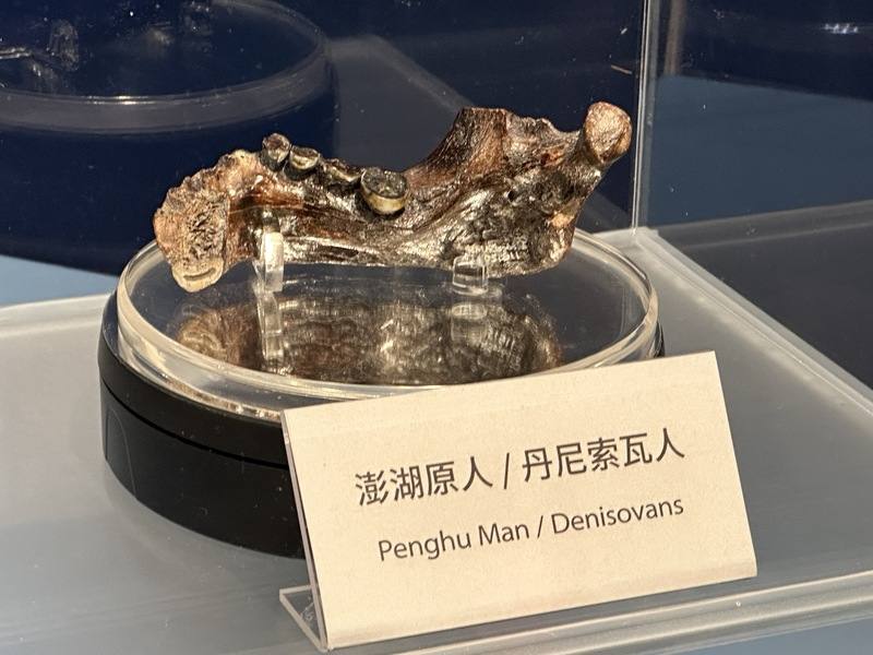 國立自然科學博物館22日起推出特展「丹尼索瓦人到台灣」，展出澎湖原人真品化石，該化石亦被證實為男性丹尼索瓦人的下顎骨