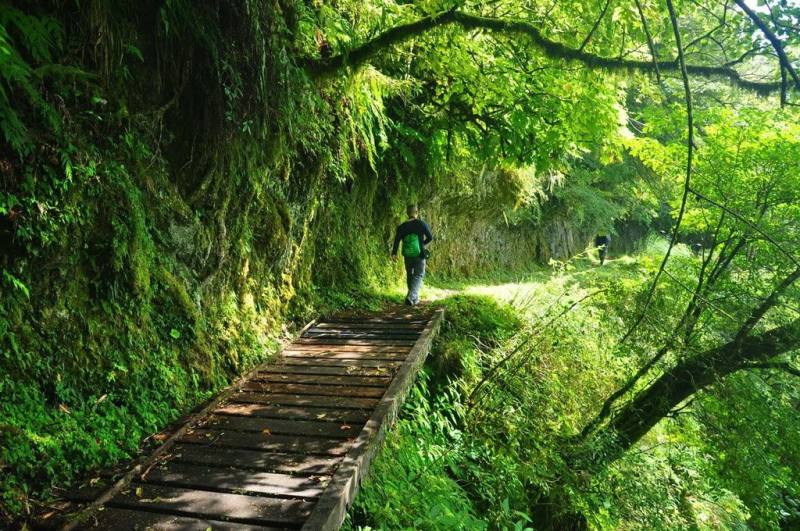 農業部林業及自然保育署南投分署提醒，梅雨季山區持續或瞬間豪陣雨，易造成溪水暴漲及土石崩落，呼籲山友登山、健行等戶外活動應秉持「安全第一」原則，審慎評估風險與妥善規劃動線，避免疏忽造成遺憾。（林業及自然保育署南投分署提供）