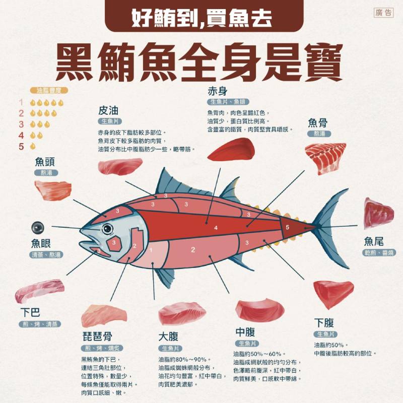 「黑鮪魚全身是寶」
