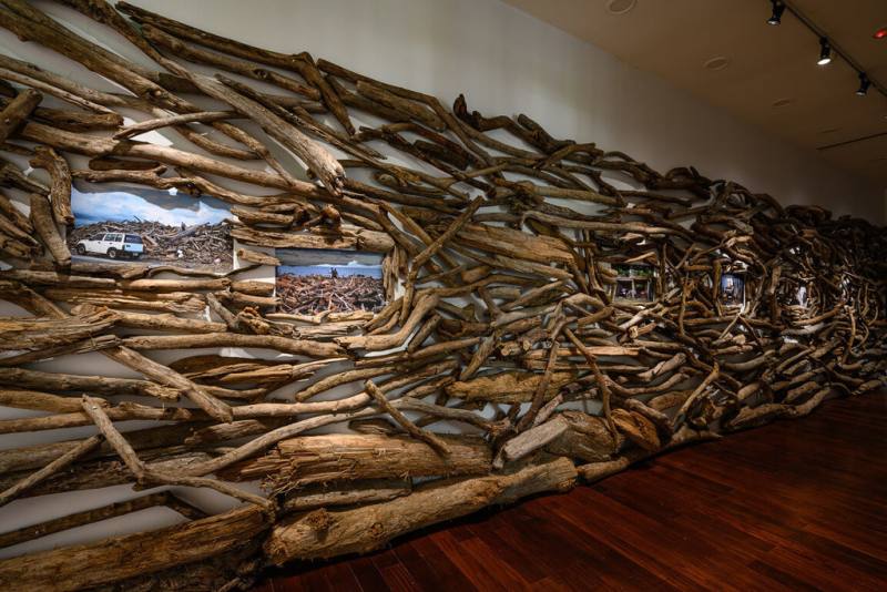 藝術家王煜松與「地震寫生團」合作展出作品「沒有葉子的森林」，以展間回應災後地景中會出現的漂流木，24日起在台北當代藝術館「安全室」展覽登場。（台北當代藝術館提供）