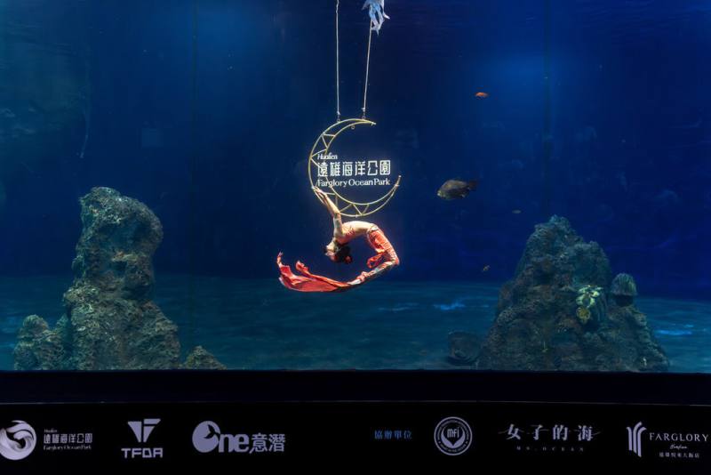 2025第3屆台灣人魚暨水舞表演賽25日在花蓮遠雄海洋公園落幕，僅11歲的台灣選手褚又寧奪得兒童組冠軍。（台灣自由潛水發展協會提供）