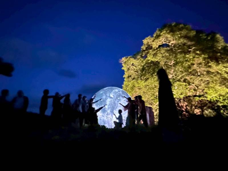 台日共丸聯盟發起的「台灣自己館」行動，5月25日傍晚在日本真庭市千年醍醐櫻花樹下舉辦音樂會與行動劇。(台灣共丸聯盟提供)