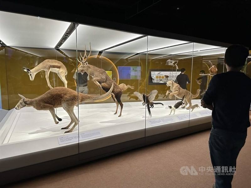 Visitors to Taichung's National Museum of Natural Science enjoy an animal exhibition. CNA file photo