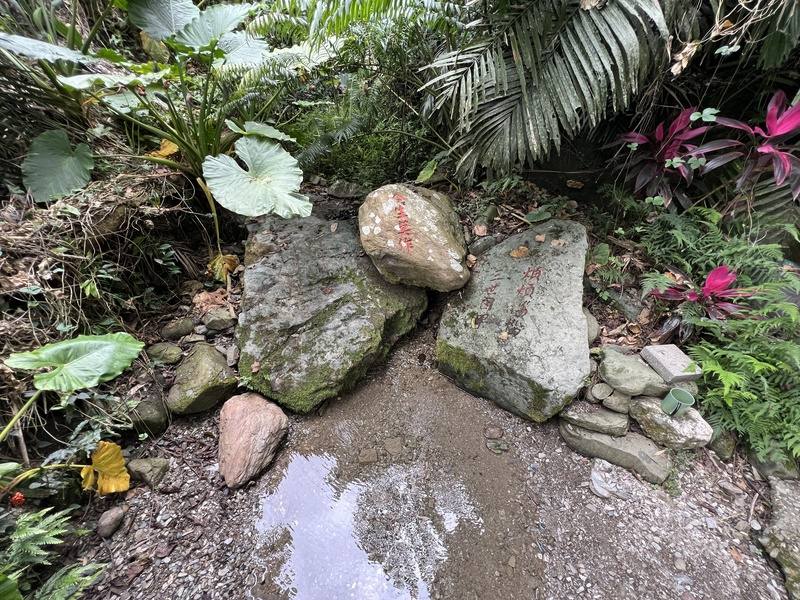 停辦3年的鹿野鄉永安村聖安宮端午取「午時水」習俗活動，114年因玉龍泉持續出水，恢復擴大舉辦，歡迎民眾共襄盛舉。