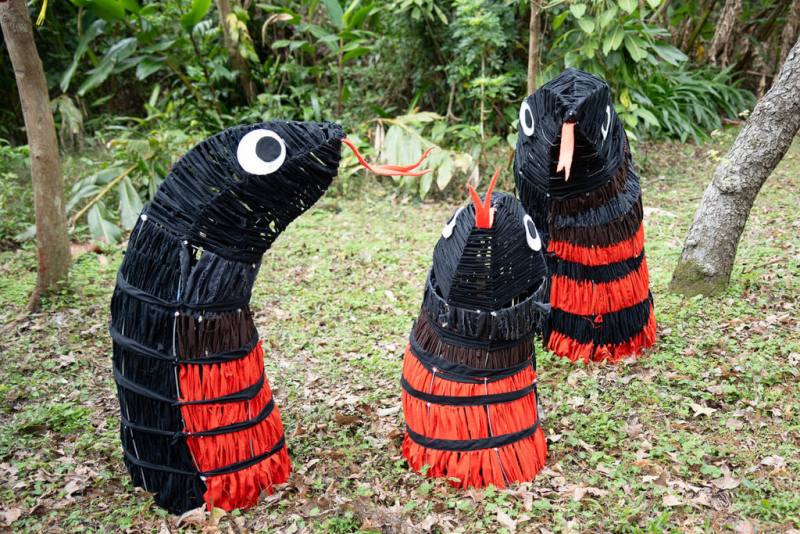 台北市立動物園指出，今年適逢生肖蛇年，配合端午節推出系列活動，從29日起推出「端午話蛇－兩爬館動物保母講古」、觀蛇探秘及包粽等活動。（台北市立動物園提供）