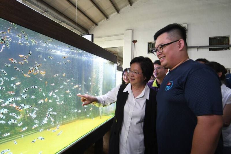 彰化縣長王惠美（前左）28日參訪第34屆全國十大神農獎得主薛雍霖（前右）的小丑魚繁殖場。王惠美表示，薛雍霖成功將彰化在地養殖業推向國際舞台，可說是彰化之光、台灣驕傲。（彰化縣政府提供）