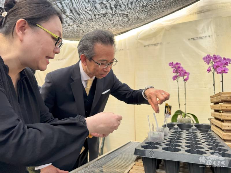 「連春蘭園」負責人親自介紹蘭花栽培方式