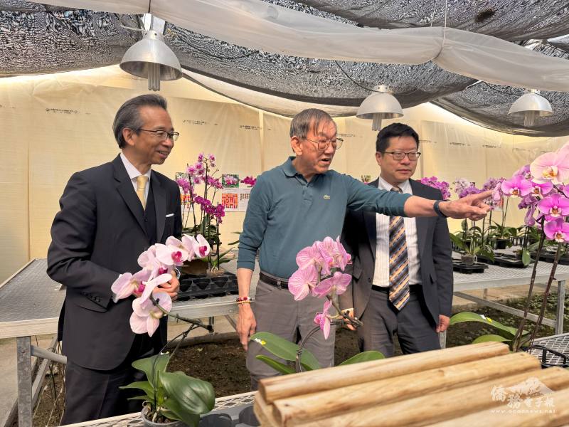 梁毅鵬、藍柏青聆聽臺商林先生特別講解開花綻放過程