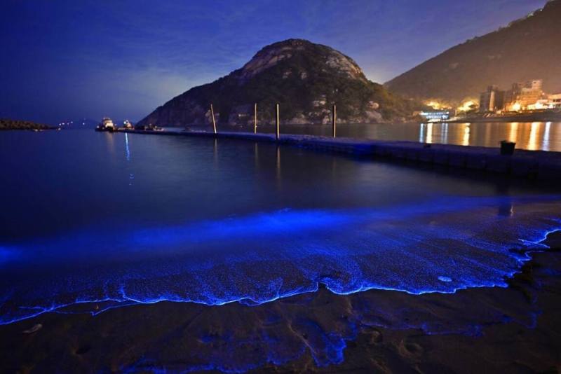 連江縣政府表示，目前正值「藍眼淚」觀賞高峰期，吸引大批遊客提前規畫行程到馬祖「追淚」，為今年端午連假高訂房率主因。圖為藍眼淚美景。（馬祖有個周小馬追淚人提供）