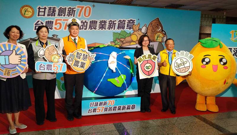 農業部農業試驗所28日介紹傳香70年的「台農57號」傳奇，該地瓜品種表現優異，廣受市場青睞，逐漸成為主流品種，在全台9000至1萬公頃地瓜栽培面積中，「台農57號」占約8成以上