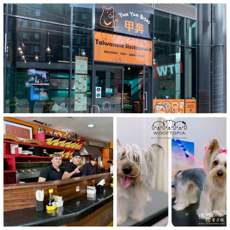 i僑卡特約店家5月下旬精選特輯【海外】