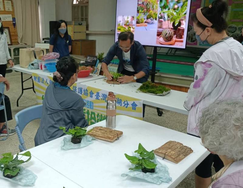 犯罪被害人保護協會澎湖分會為實踐對犯罪被害人及其家屬的身心支持，29日在馬公東衛社區活動中心舉辦「手作上板植栽」活動，邀請馨生人一起體驗手作植栽。（犯保協會澎湖分會提供）