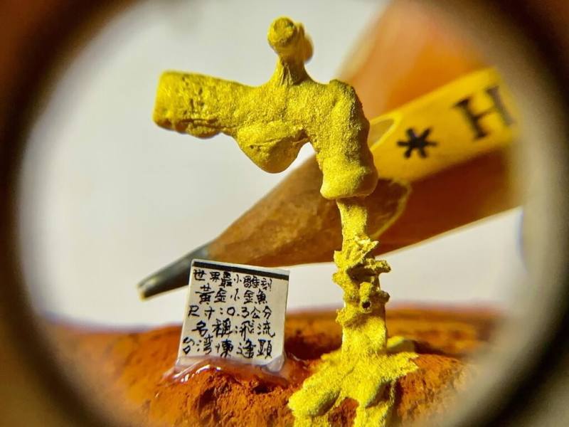 毫芒雕刻家陳逢顯發表作品「懸浮之境」，突破極限雕刻尺寸僅0.3公分的黃金小金魚，以黃金打造水龍頭懸浮空中，飛流而下水柱棲息栩栩如生的微型金魚。（陳逢顯提供）
