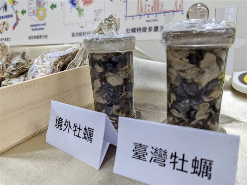 台灣牡蠣近幾年因氣候變遷與蟲害而減產，越南等進口牡蠣逐年增加。農業部水產試驗所，與國立台灣海洋大學合作，運用精密科學儀器，揭開本土牡蠣的美味密碼，證實台灣牡蠣口感比進口佳，未來可望透過人工附苗技轉，克服減產挑戰。（中央社檔案照片）