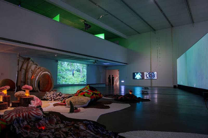 呂岱如以共同策展人身分，於高雄市立美術館舉辦之「山演算」展覽（駐英國代表處文化組提供）