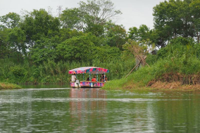 Why not go on a boat trip in Dongshan River Forest Park and enjoy the abundance of wildlife here?​​​​