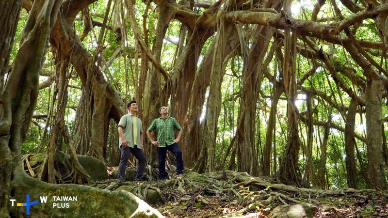 Jason和Trevor探訪百年神秘白榕園是國際名導李安電影裡的拍攝場景