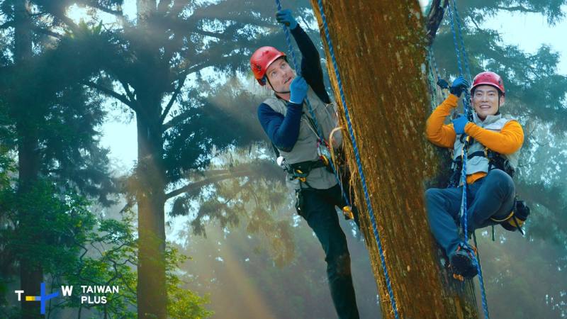 Jason和Trevor挑戰攀爬台灣杉，到樹頂收集種子，為生態環境盡一份心力