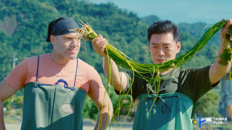 Jason和Trevor穿著青蛙裝下水體驗採收水蓮