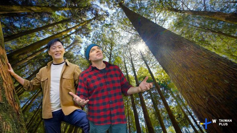 Jason和Trevor探訪全世界最大的原始檜木林，彷彿身在童話王國