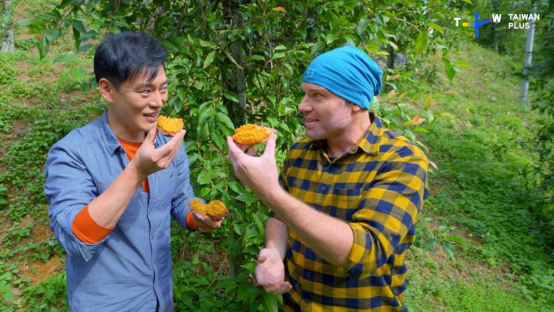 台灣愛玉是台灣特產舉世無雙，Jason和Trevor品嘗愛玉子