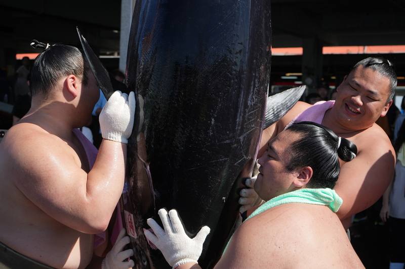 錣山部屋力士造訪屏東，展開一系列文化觀光交流，9日現身東港魚市場，東港區漁會一早在港邊吊起巨大黑鮪，再由壯碩的力士們或抱或扛，輪流感受重量，進行台日猜重量比賽