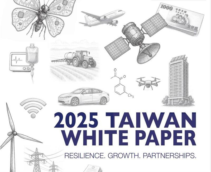 Image taken from AmCham Taiwan's 2025 White Paper documents