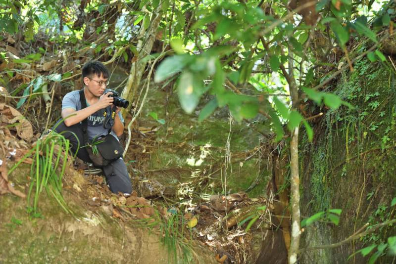 植物分類專家林哲緯（圖）出身於美術科班，現任職於農業部林業試驗所。圖為2023年他前進婆羅洲北部多岩的溪岸拍攝岩生植物。（陳原諄攝影、林哲緯提供）