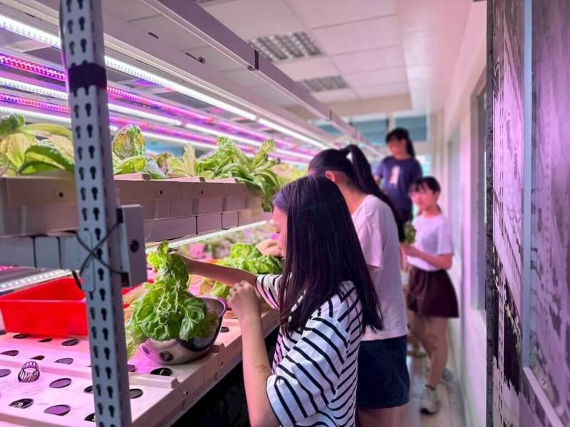 連江縣立介壽國中小職業試探與體驗中心，因應馬祖地區農業腹地與勞動力不足的現況，利用校內防空洞與教室空間設立「農心小學科技農場」。（介壽國中小提供）