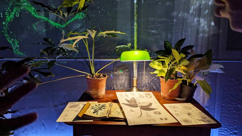 「自造自然－超越有機的共生」展覽，即日起在台北双融域登場，展出植物分類專家林哲緯描繪華萊士秋海棠等植物的繪圖作品，讓人一窺植物研究者工作日常場景。