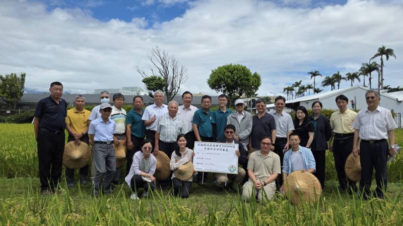 臺東農改場陳信言場長、審查委員與稻作研究團隊人員於試驗田區合影