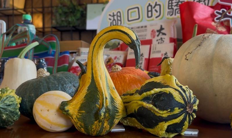 新竹縣湖口鄉農會12日舉辦瓜瓜節宣傳活動，現場擺放造型南瓜，如外型像天鵝的南瓜及西瓜紋路南瓜等，展現農產多元樣貌。