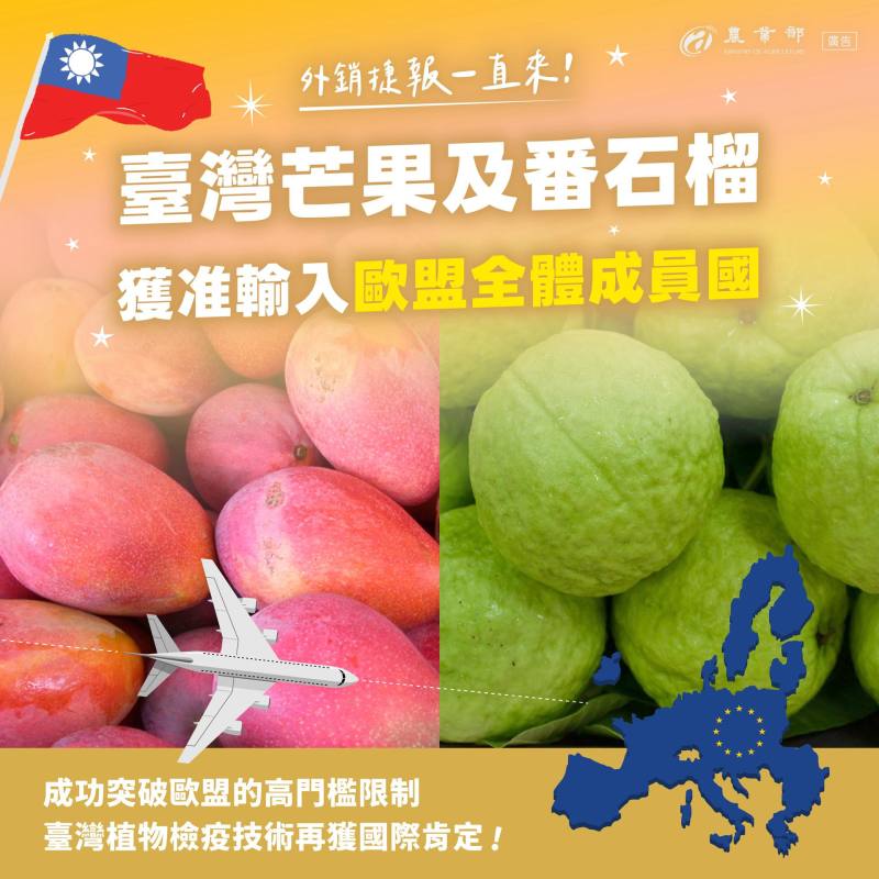 臺灣芒果及番石榴獲准輸入歐盟全體成員國
