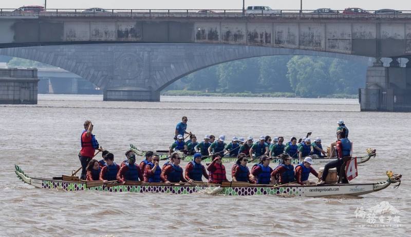 成人隊在2025 DC龍舟賽中異軍突起，展現驚人進步