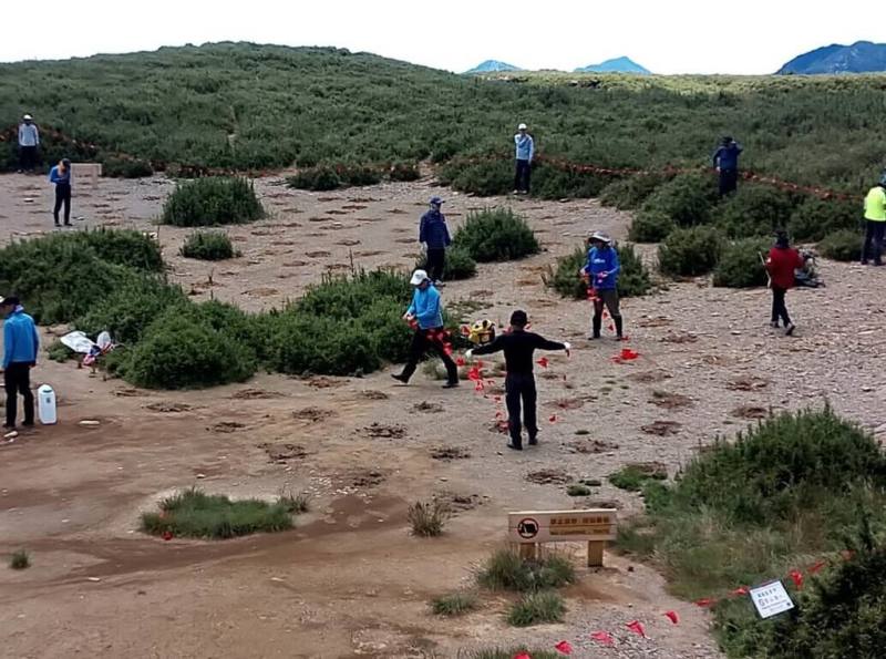 太魯閣合歡北峰小溪營地雖稱為「營地」，但並未開放露營，地面因長期踩壓光禿裸露，太魯閣國家公園管理處2023年起試辦原生植栽復育，在最大裸露區域種植約200棵，且圈圍保護。（太管處提供）