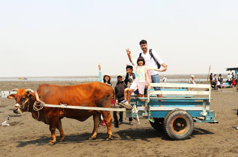 境外學生體驗牛車文化，感受臺灣農村風情