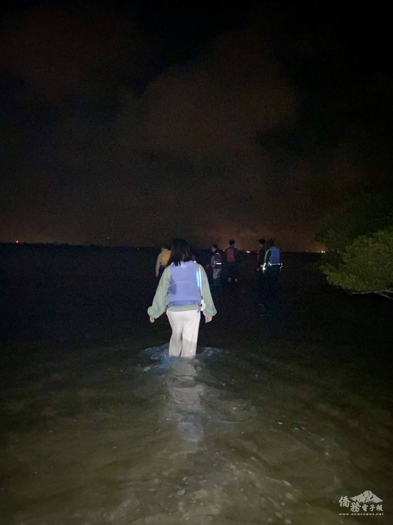 導遊為了證明水不深，要大家下船涉水體驗夜光藻