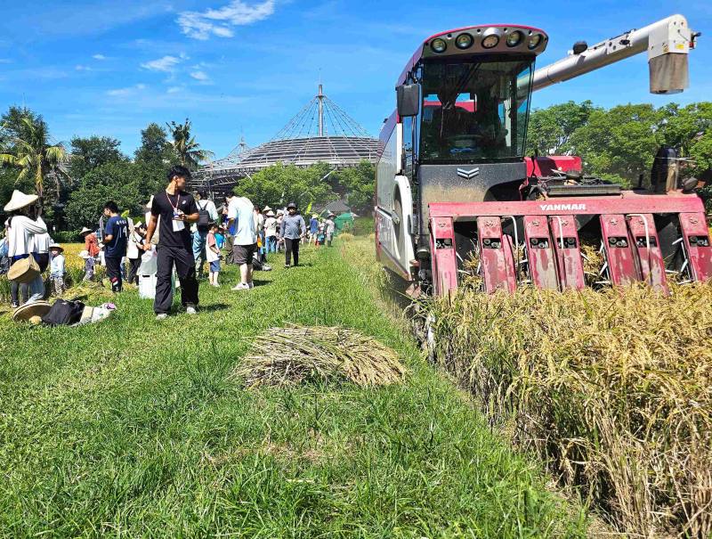 收割機與參與民眾
