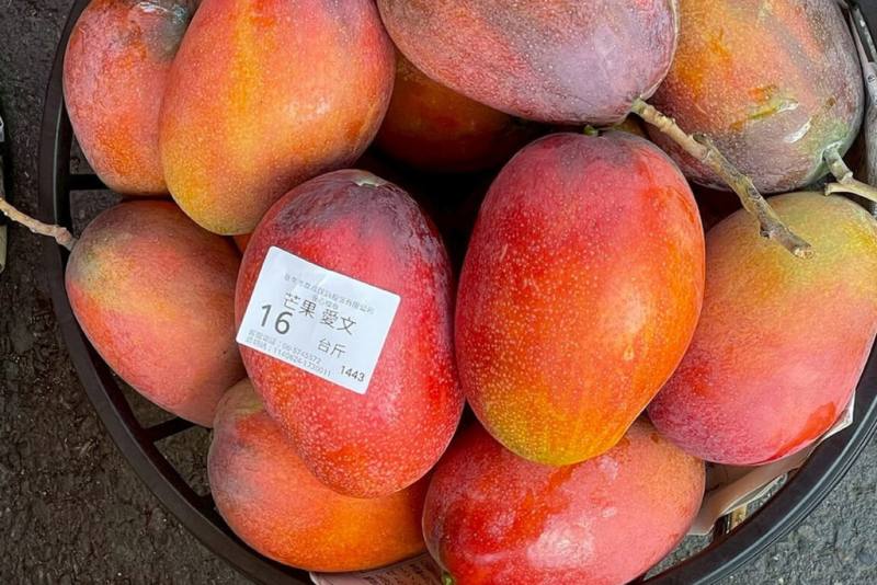 台南市農業局推動「安心標章」制度，呼籲消費者前往玉井果菜市場選購芒果時，認明貼有標章的攤位或果品。（台南市農業局提供）