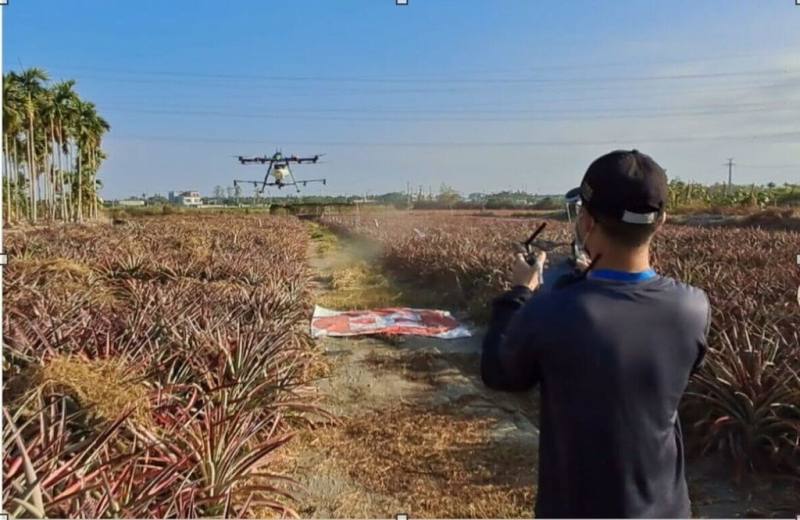農業部農業藥物試驗所2024年起在屏東縣南州鄉實施無人機施藥田間試驗，節省至少一半以上人力。（農藥所提供）
