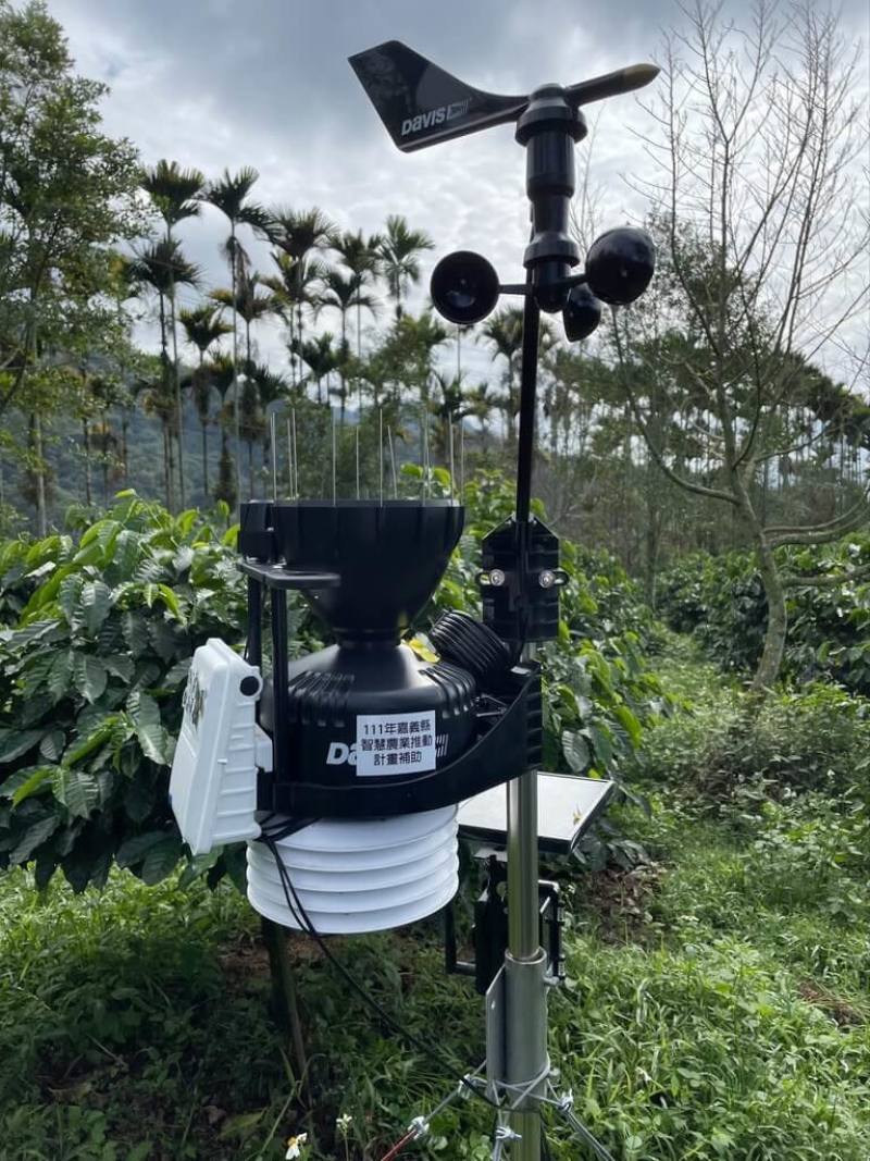嘉義縣政府自111年起補助咖啡園建置智慧化農業設備，透過溫濕度監控、土壤感測器與遠端控制系統，咖啡農得以即時掌握環境資訊，接連種出得獎咖啡。（嘉義縣政府提供）
